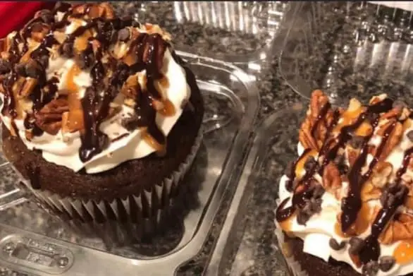 Jumbo Turtle Cupcake